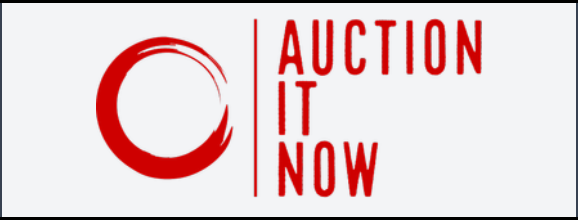 Auction It Now